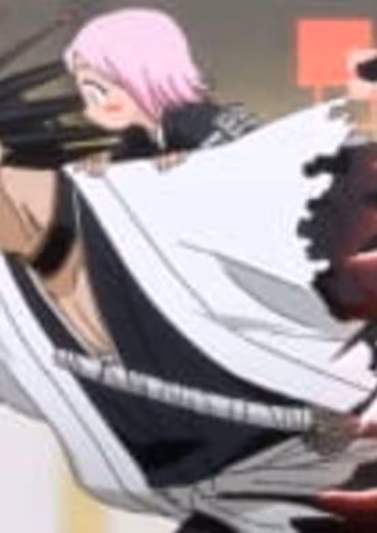 Bleach: Gotei 13 Omake