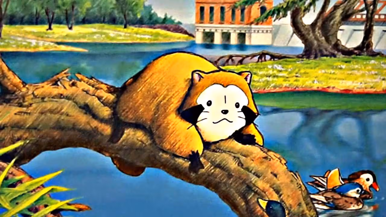 Araiguma Rascal