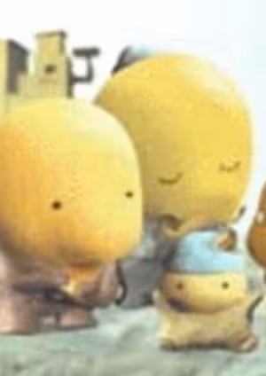 Pacusi
