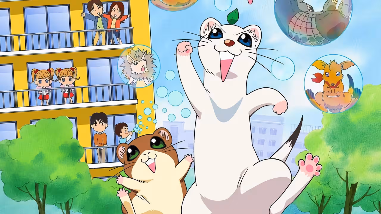 Shiawase Sou no Okojo-san