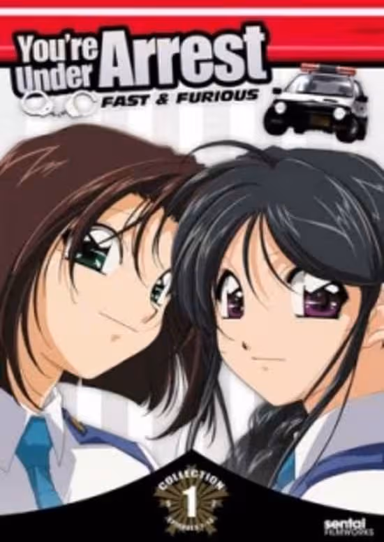 Taiho Shichau zo: Second Season