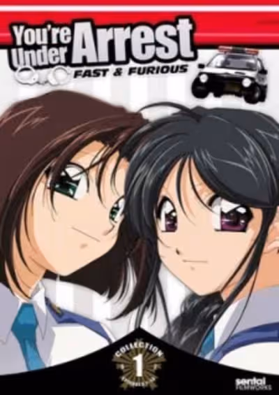 Taiho Shichau zo: Second Season