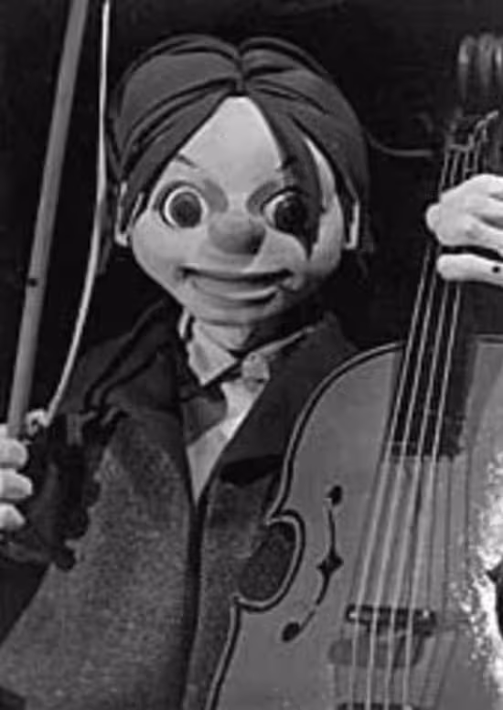 Cello Hiki no Gauche