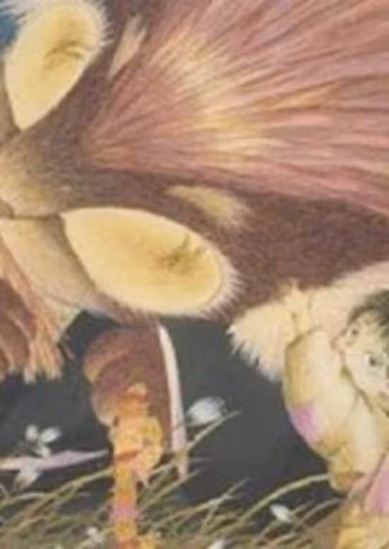 Donguri to Yamaneko poster