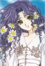 Nadeshiko Kinomoto