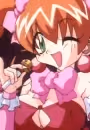 Hatoko Daikanyama