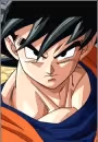 Gokuu Son