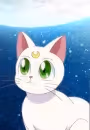Artemis