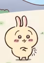 Usagi