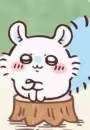 Momonga