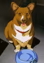 Ein