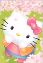 Kitty White