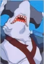 Shumokozame Kaizoku