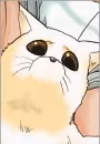 Menchi