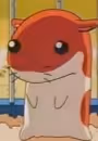 Hamster