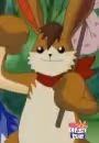 Hare