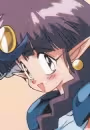 Cocoa Arara