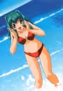 Inko no Tsubasa
