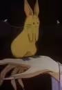 Q-chan