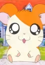 Hamtarou