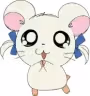 Ribon-chan