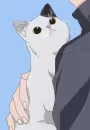 Udon