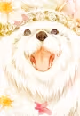 Dee