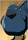Sora