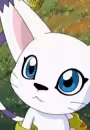 Tailmon