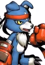 Gaomon