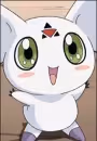Culumon