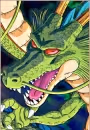 Shen Long