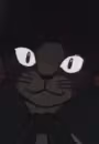 Toudaimori
