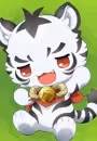 Torachi