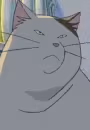 Muta