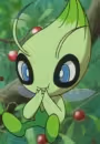 Serebii