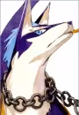 Repede