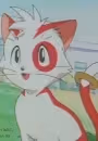 Nyan
