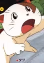 Dabu