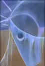 Mokuba