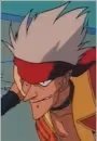 Jackal Head