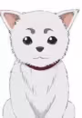 Sadaharu