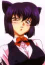 Koshka Nekoi