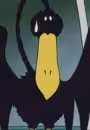 Tori-san