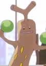 Usokkie