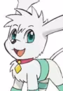 Roko