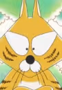 Sunadori Neko